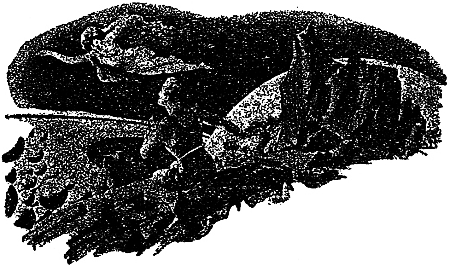 Человек на метеоре i_005.png