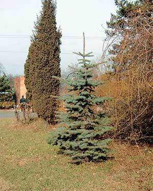 Дальний Восток. Путеводитель i_042.jpg