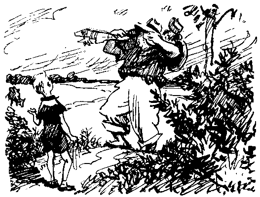Золотая рыбка (сборник) pic_2.png