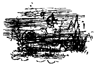 Золотая рыбка (сборник) pic_3.png