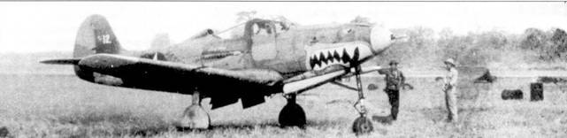 Боевое применение Р-39 Airacobra pic_33.jpg