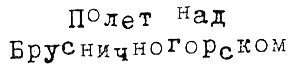 Тюре Свентон, частный детектив i_026.png