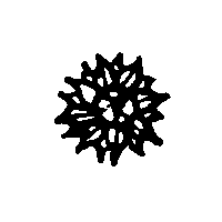 Ветеран Цезаря flora6.png