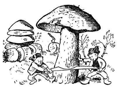 Воспоминания и необыкновенные путешествия Захара Загадкина i_199.jpg