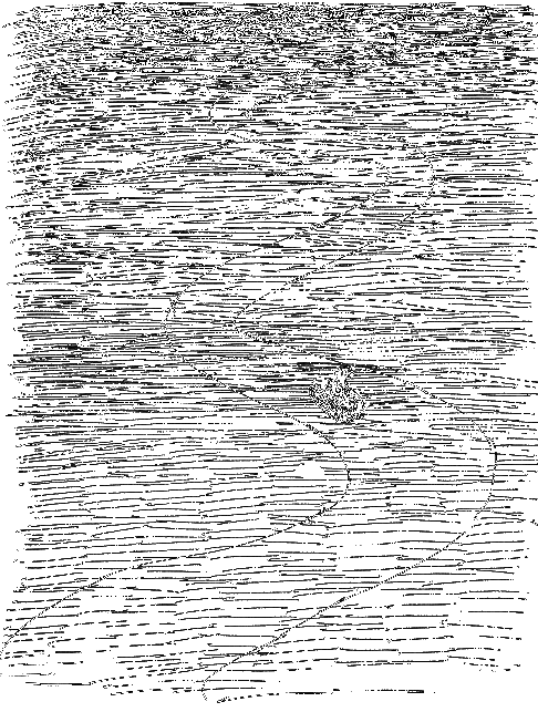 Мило и волшебная будка _008.png