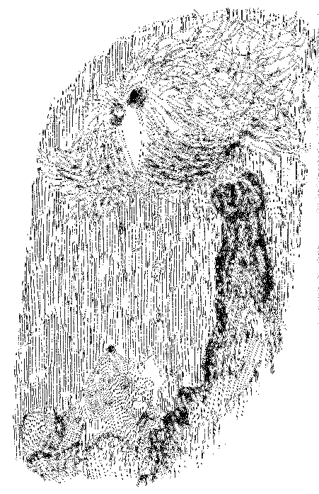 Мило и волшебная будка _071.png