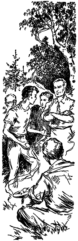 Фаэты (Журнальный вариант) i_049.png