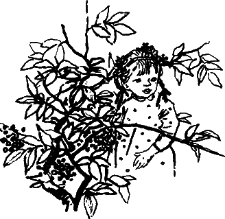 Катруся уже большая. Повести и сказки _076.png