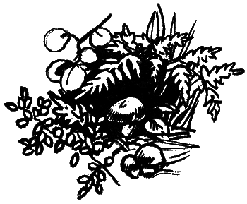 Катруся уже большая. Повести и сказки _084.png