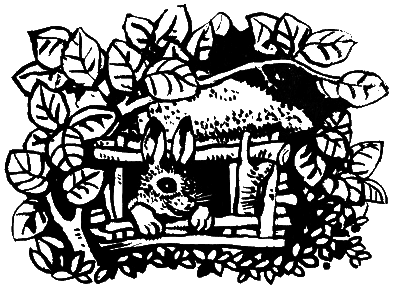 Катруся уже большая. Повести и сказки _091.png