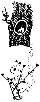 Катруся уже большая. Повести и сказки _092.png