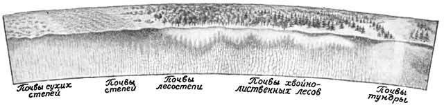 Докучаев i_025.jpg
