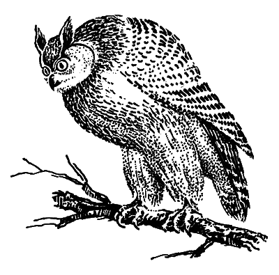 В краю танцующих хариусов. Роска i_005.png