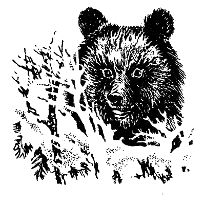 В краю танцующих хариусов. Роска i_004.png