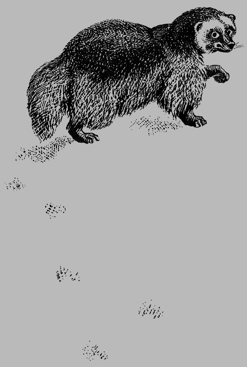 В краю танцующих хариусов. Роска i_009.png