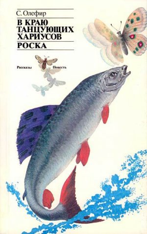 В краю танцующих хариусов. Роска