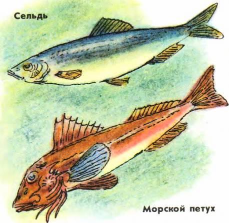 Кто они такие? i_069.jpg