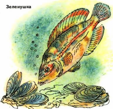 Кто они такие? i_071.jpg