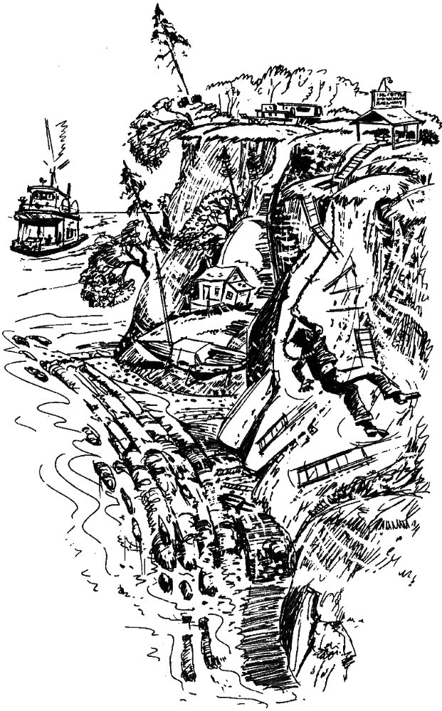 Морскому льву здесь не место i_006.png