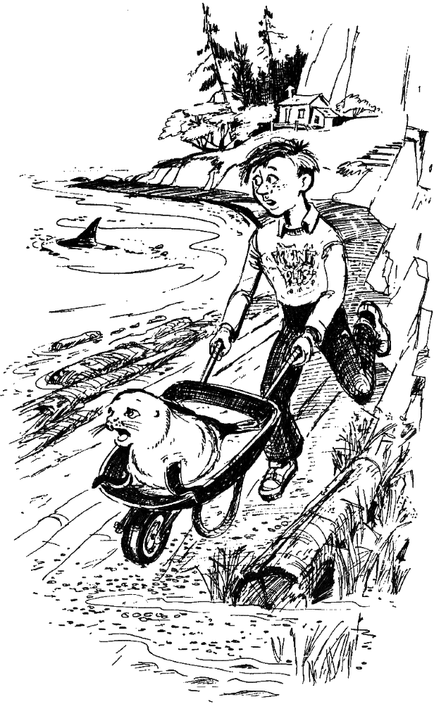 Морскому льву здесь не место i_008.png