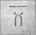 Русифицированный King Crimson i_039.jpg
