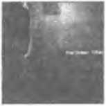 Русифицированный King Crimson i_066.jpg