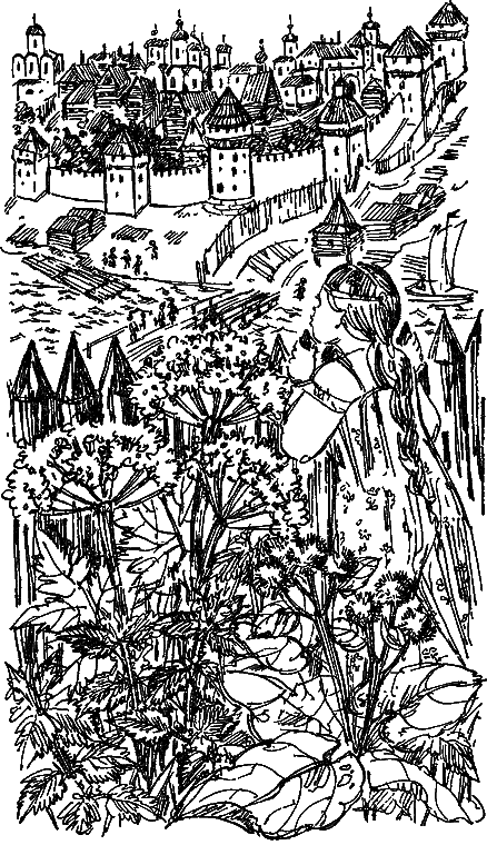 О чем говорят названия растений i_012.png