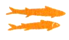 Кадын - владычица гор i_028.png