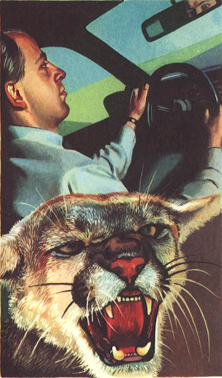 Миры Клиффорда Саймака. Книга 9 i_007.jpg