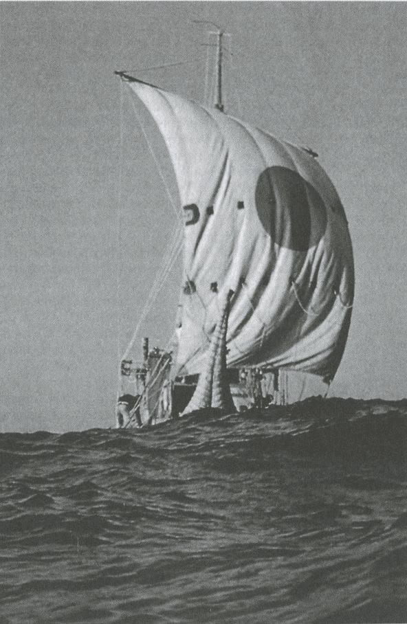 Тур Хейердал. Биография. Книга II. Человек и мир i_104.jpg