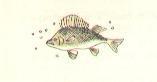 Анечка из первого «А» и другие i_033.jpg