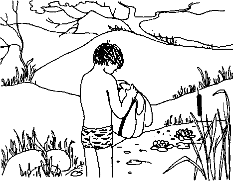 Автостоп img_13.png