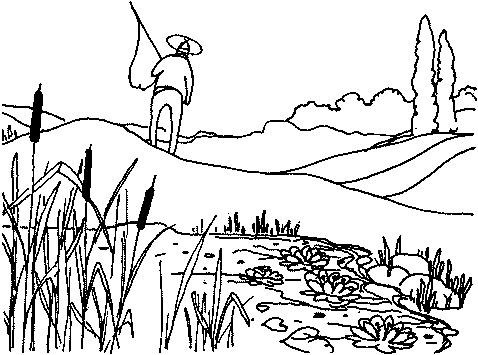 Автостоп img_14.png