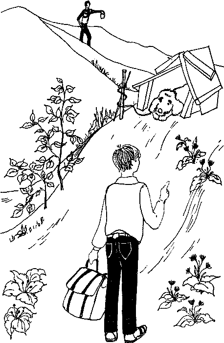 Автостоп img_08.png