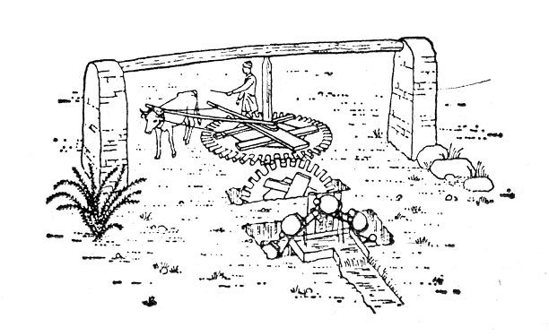 Человек в Африке i_027.jpg