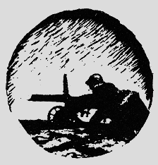 Наградная медаль. В 2-х томах. Том 2 (1917-1988) bw09.png