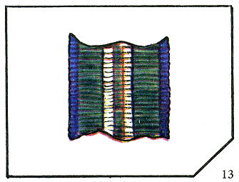 Наградная медаль. В 2-х томах. Том 2 (1917-1988) Lenty13.png