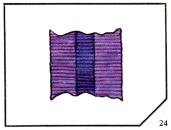 Наградная медаль. В 2-х томах. Том 2 (1917-1988) Lenty24.png