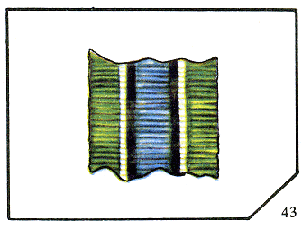 Наградная медаль. В 2-х томах. Том 2 (1917-1988) Lenty43.png