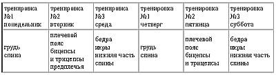 Новая энциклопедия бодибилдинга. Кн.2. Программы тренировок _33.jpg
