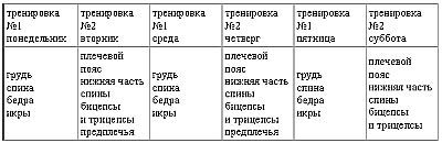 Новая энциклопедия бодибилдинга. Кн.2. Программы тренировок _34.jpg