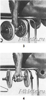 Новая энциклопедия бодибилдинга. Кн.3. Упражнения _228.jpg