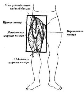 Новая энциклопедия бодибилдинга. Кн.3. Упражнения _40.jpg