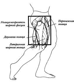 Новая энциклопедия бодибилдинга. Кн.3. Упражнения _42.jpg