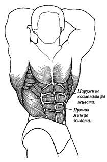 Новая энциклопедия бодибилдинга. Кн.3. Упражнения _47.jpg