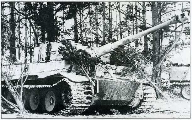 Танки второй мировой. Вермахт. _139.jpg