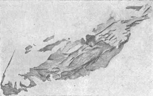 По горам и пустыням Средней Азии img_42.jpeg