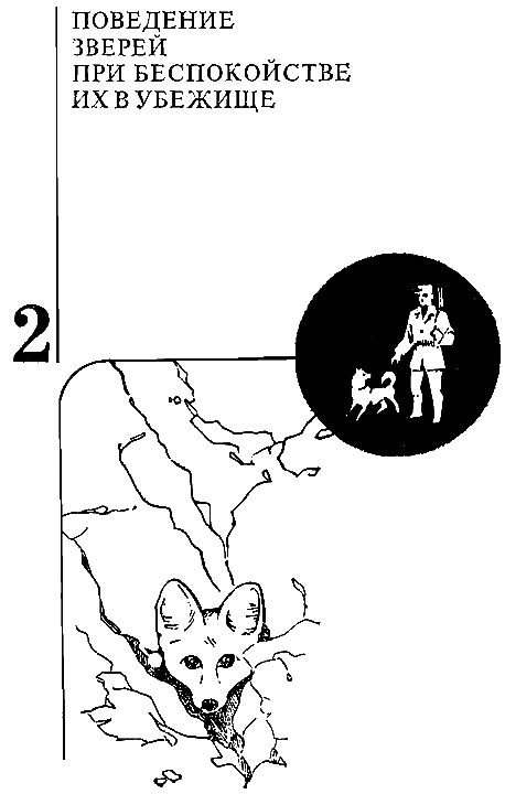 Повадки диких зверей i_003.png