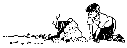 В дебрях Кара-Бумбы (сборник) pic_11.png