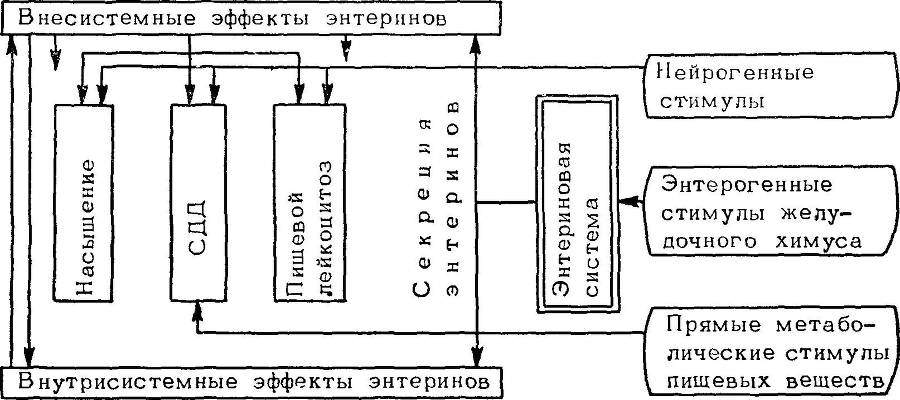 Естественные технологии биологических систем _37.jpg